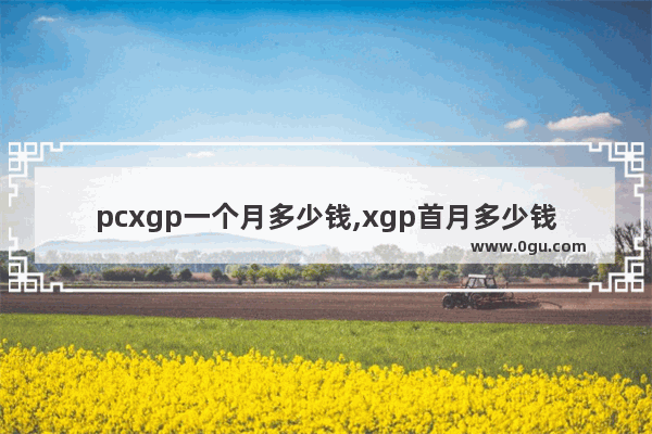 pcxgp一个月多少钱,xgp首月多少钱