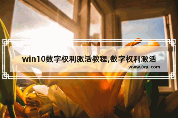 win10数字权利激活教程,数字权利激活windows10