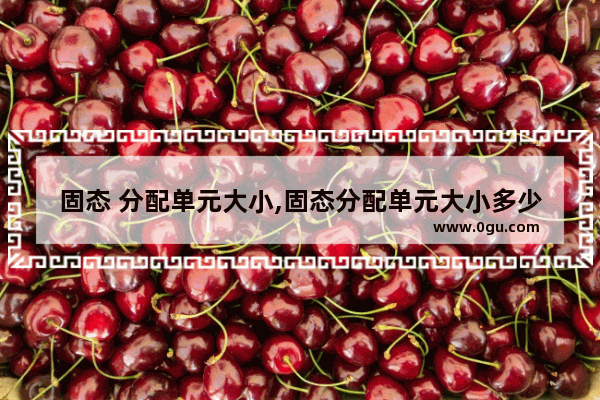 固态 分配单元大小,固态分配单元大小多少合适