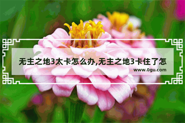 无主之地3太卡怎么办,无主之地3卡住了怎么办