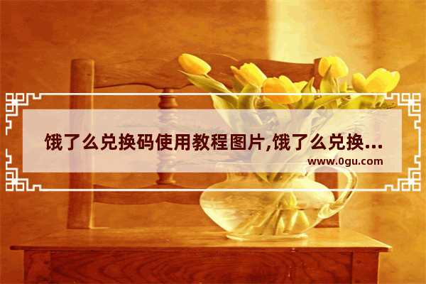 饿了么兑换码使用教程图片,饿了么兑换码使用教程最新