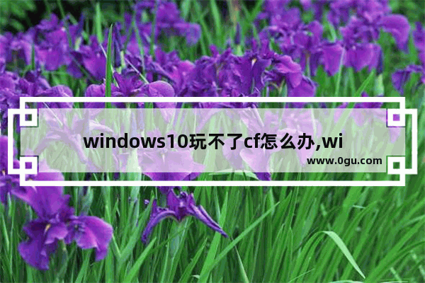 windows10玩不了cf怎么办,window10玩不了cf