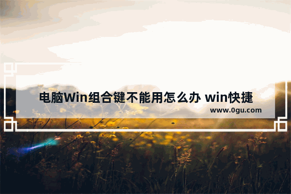 电脑Win组合键不能用怎么办 win快捷键失灵的解决方法