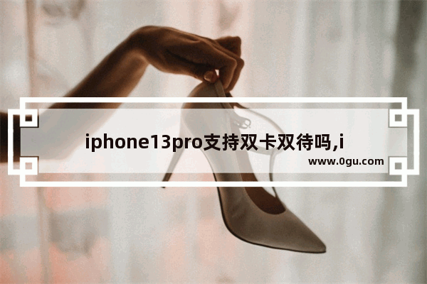 iphone13pro支持双卡双待吗,iPhone13pro支持双卡双待吗