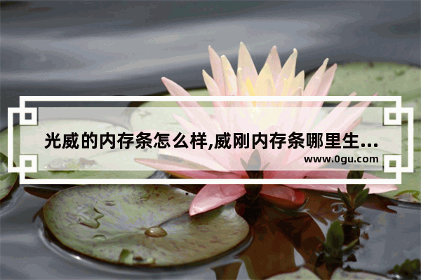 光威的内存条怎么样,威刚内存条哪里生产的