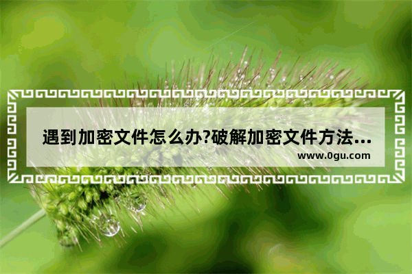 遇到加密文件怎么办?破解加密文件方法图解
