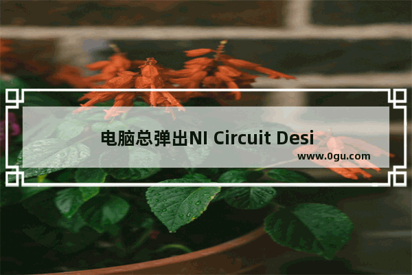 电脑总弹出NI Circuit Design Suite Support and Upgrade Utility的原因及解决方法