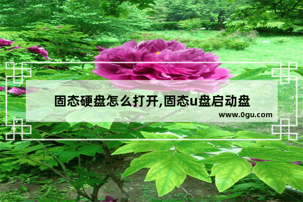 固态硬盘怎么打开,固态u盘启动盘