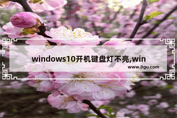 windows10开机键盘灯不亮,windows键盘灯不亮
