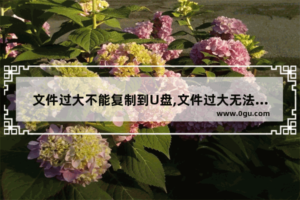 文件过大不能复制到U盘,文件过大无法复制在u盘上该怎么办
