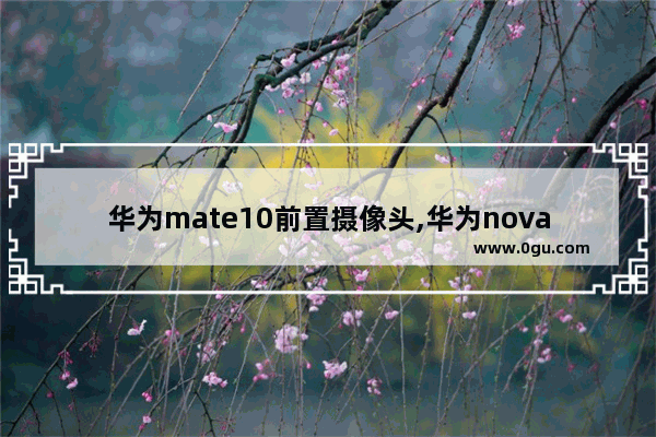 华为mate10前置摄像头,华为nova9前置摄像头