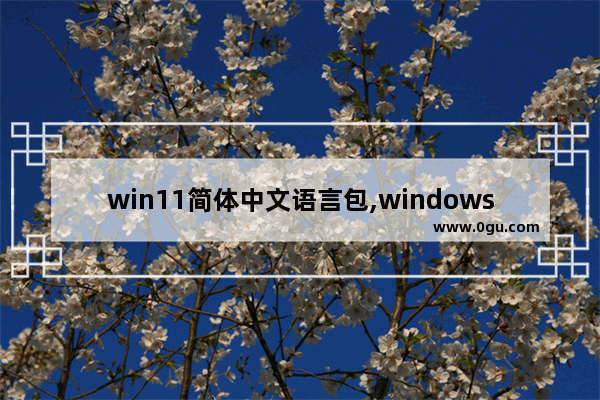 win11简体中文语言包,windows11中文语言包下载