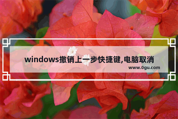 windows撤销上一步快捷键,电脑取消上一步的快捷键是什么
