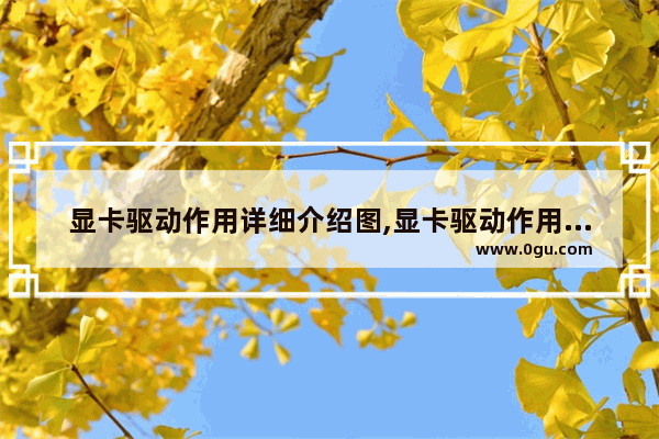 显卡驱动作用详细介绍图,显卡驱动作用详细介绍图解