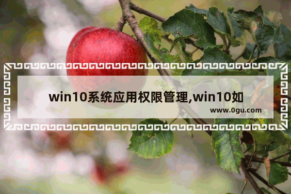 win10系统应用权限管理,win10如何管理应用权限