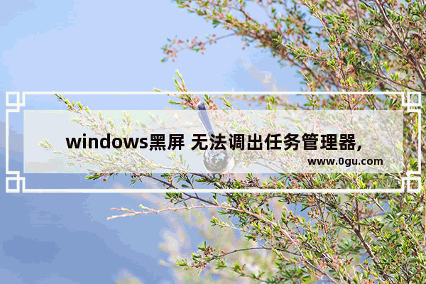 windows黑屏 无法调出任务管理器,电脑黑屏调不出任务管理器怎么办