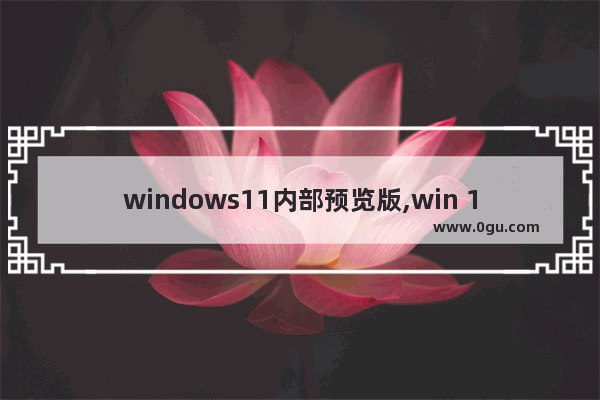 windows11内部预览版,win 11预览版