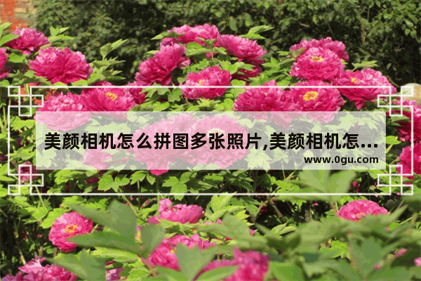 美颜相机怎么拼图多张照片,美颜相机怎么拼图片