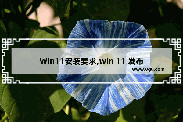 Win11安装要求,win 11 发布