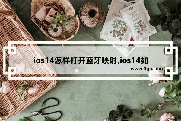 ios14怎样打开蓝牙映射,ios14如何才能支持蓝牙映射