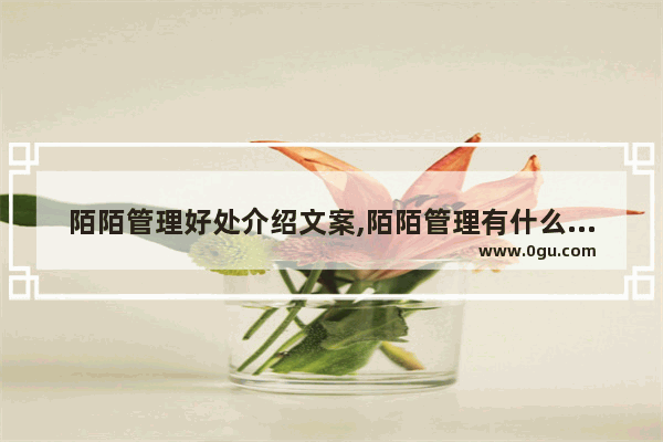 陌陌管理好处介绍文案,陌陌管理有什么好处