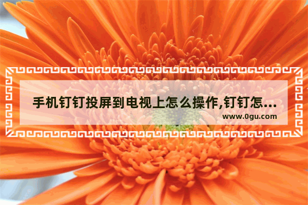 手机钉钉投屏到电视上怎么操作,钉钉怎么用手机投屏到电视
