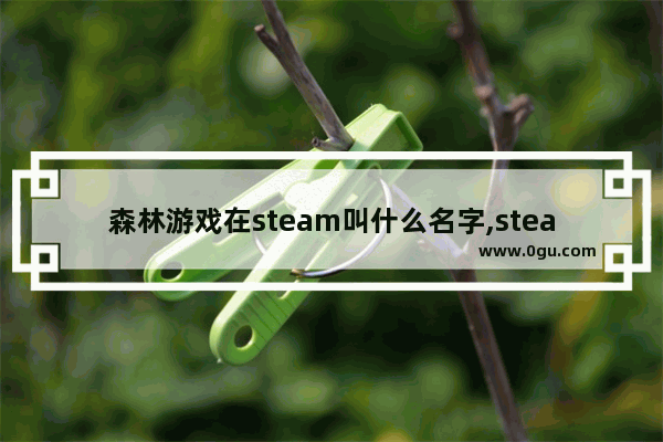 森林游戏在steam叫什么名字,steam森林百度百科