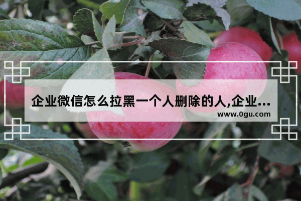 企业微信怎么拉黑一个人删除的人,企业微信怎么拉黑一个人视频