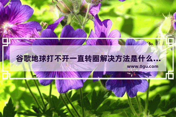 谷歌地球打不开一直转圈解决方法是什么,谷歌地球打不开一直转圈解决方法下载
