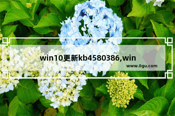 win10更新kb4580386,win10更新kb4601382