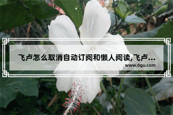 飞卢怎么取消自动订阅和懒人阅读,飞卢怎么取消自动订阅功能