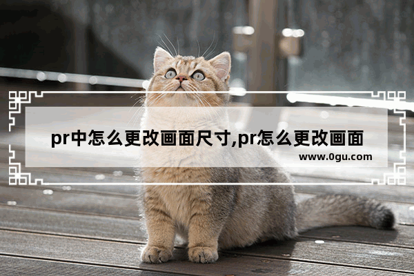 pr中怎么更改画面尺寸,pr怎么更改画面尺寸