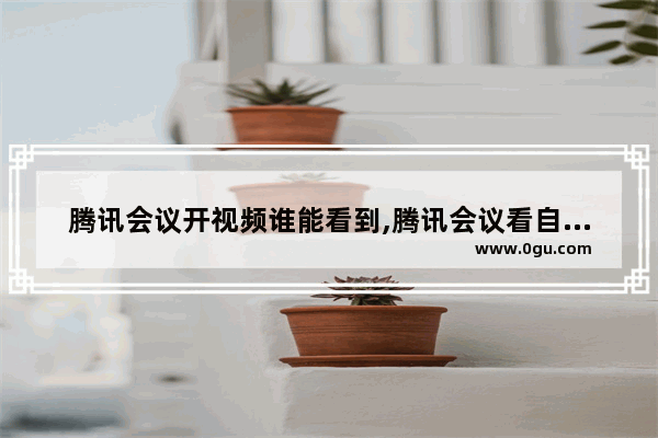 腾讯会议开视频谁能看到,腾讯会议看自己的视频