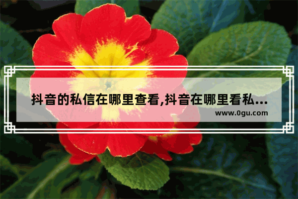 抖音的私信在哪里查看,抖音在哪里看私信信息