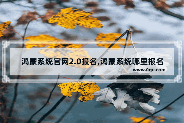鸿蒙系统官网2.0报名,鸿蒙系统哪里报名