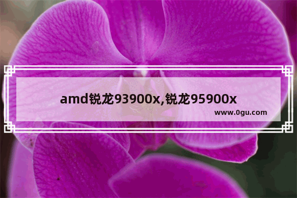 amd锐龙93900x,锐龙95900x参数