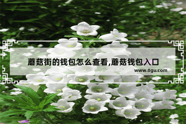 蘑菇街的钱包怎么查看,蘑菇钱包入口