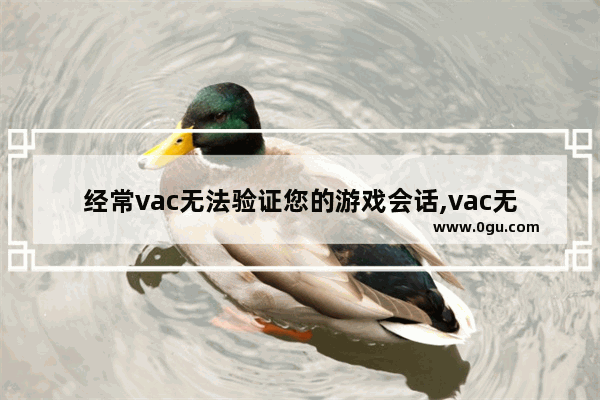 经常vac无法验证您的游戏会话,vac无法访问您的游戏会话