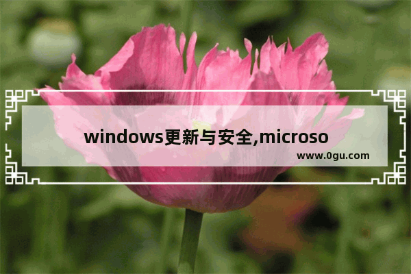 windows更新与安全,microsoftwindows的安全更新