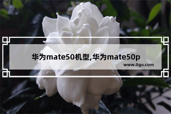 华为mate50机型,华为mate50pro+参数配置详细