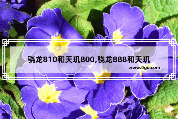 骁龙810和天玑800,骁龙888和天玑1200+哪个好