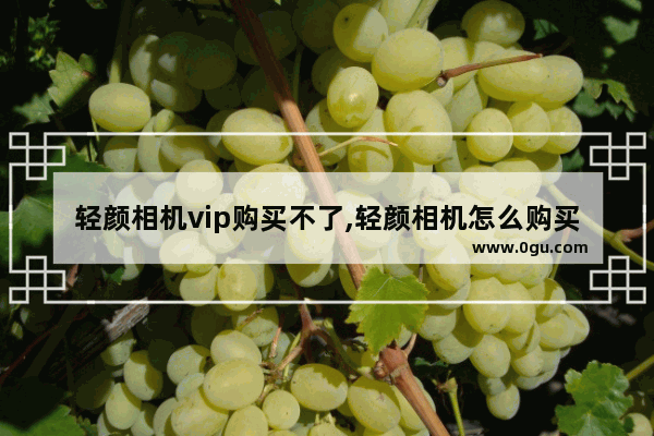 轻颜相机vip购买不了,轻颜相机怎么购买VIP