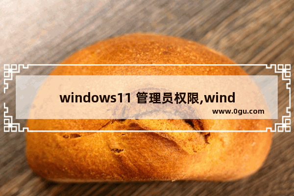windows11 管理员权限,windows10获取管理员权限