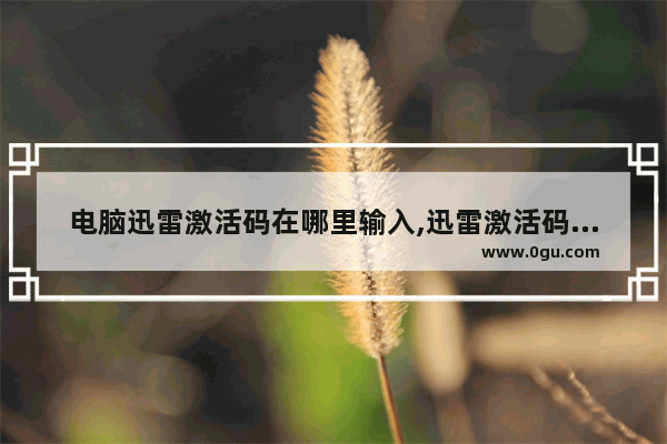 电脑迅雷激活码在哪里输入,迅雷激活码怎么使用