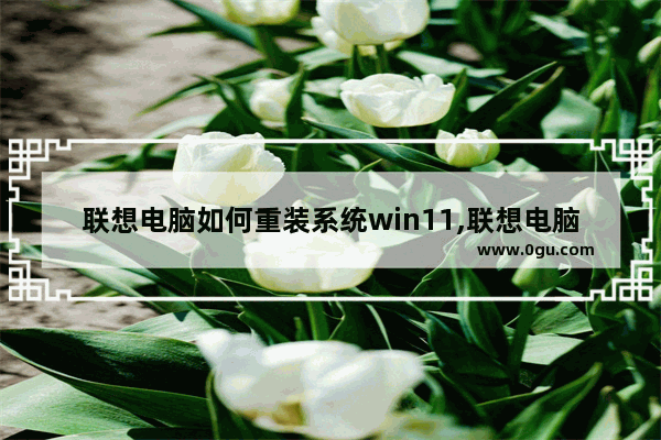 联想电脑如何重装系统win11,联想电脑如何重装系统win7