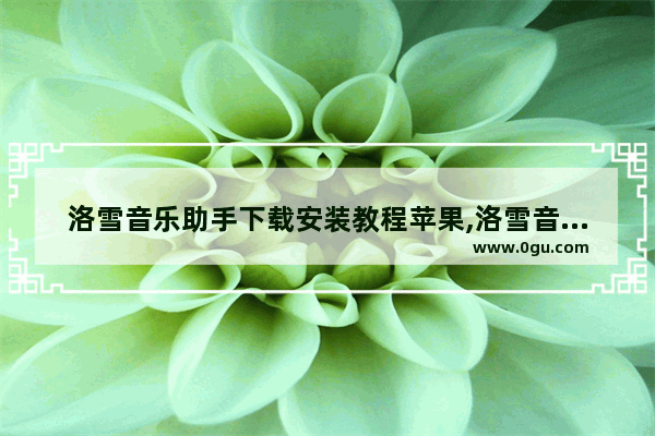 洛雪音乐助手下载安装教程苹果,洛雪音乐助手怎么安装