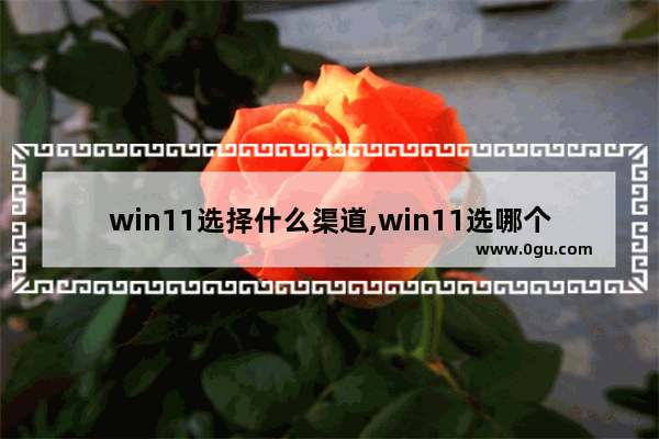 win11选择什么渠道,win11选哪个渠道