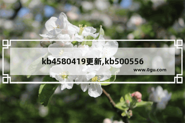 kb4580419更新,kb5005565更新