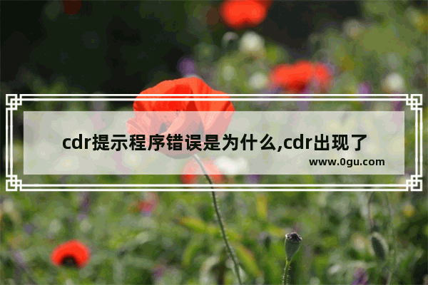 cdr提示程序错误是为什么,cdr出现了一个问题导致程序无法正常工作
