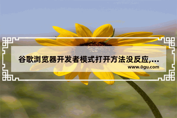 谷歌浏览器开发者模式打开方法没反应,谷歌浏览器开发者模式打开方法视频